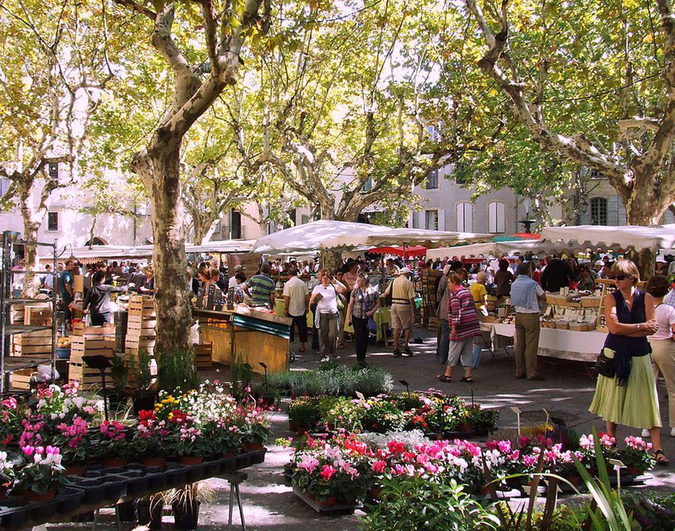 Garrigues-et-Sainte-EulalieLes Jardins D'Holi Proche Uzes住宿加早餐旅馆 外观 照片