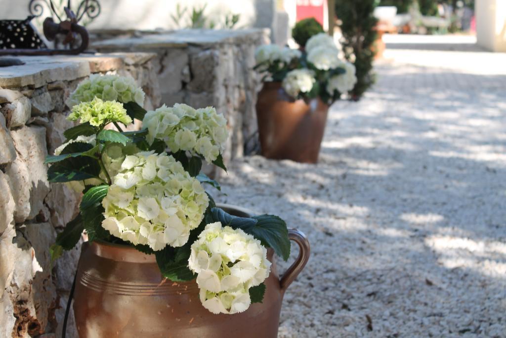 Garrigues-et-Sainte-EulalieLes Jardins D'Holi Proche Uzes住宿加早餐旅馆 外观 照片